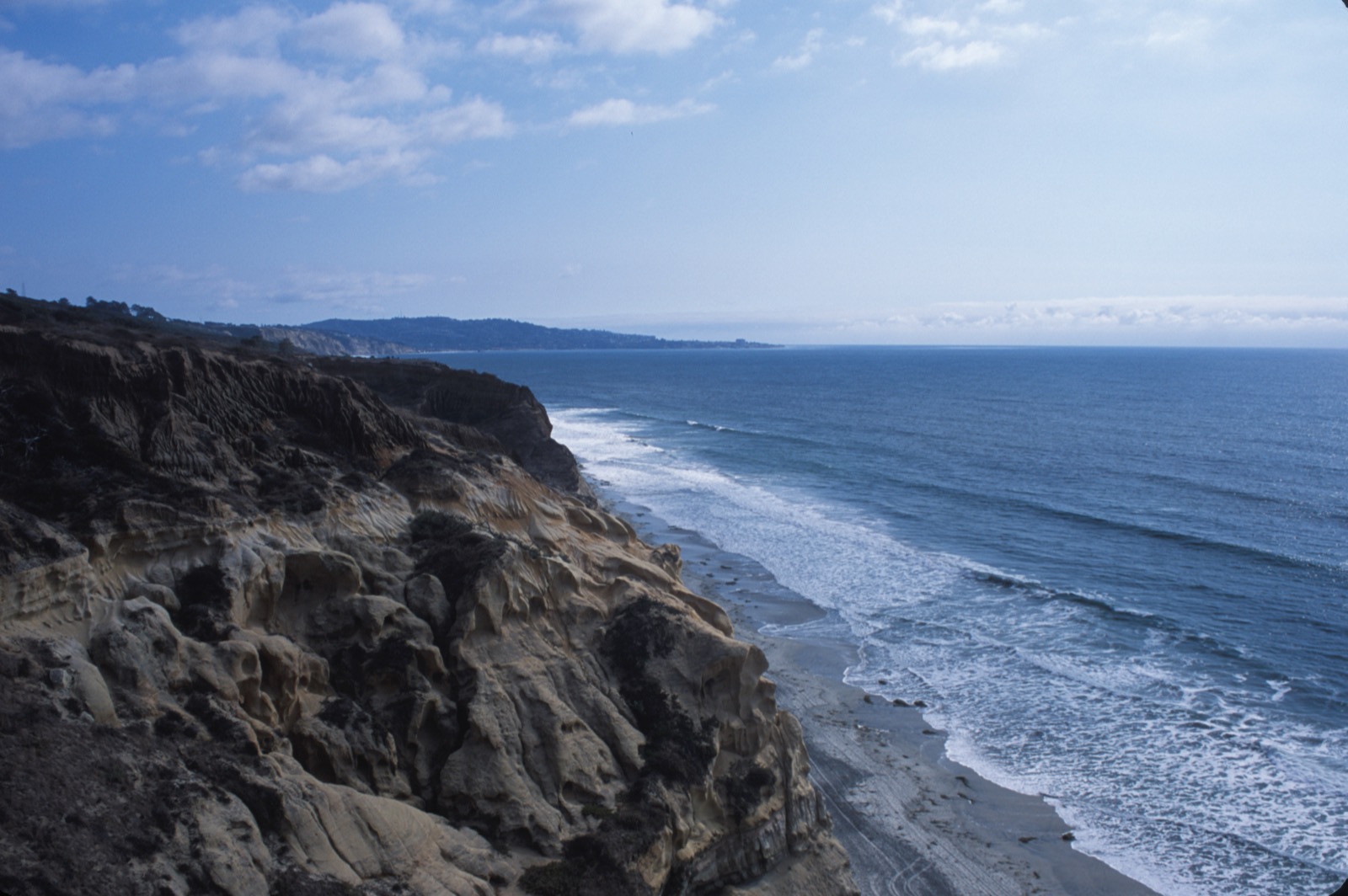 Coastline at Torrey Pines State Reserve